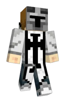 Robizerd Minecraft avatar full body