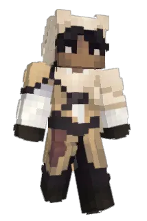 Robo1475 Minecraft avatar full body