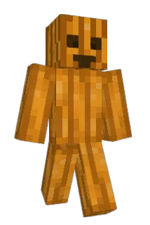 RoboSlayer55 Minecraft avatar full body