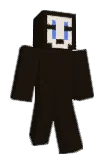 RobotBoss Minecraft avatar full body