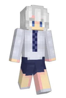 RobotW4rrior Minecraft avatar full body