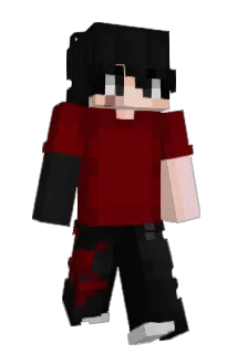 RoboticDai08 Minecraft avatar full body