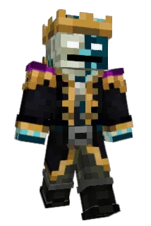 Roboturtlez Minecraft avatar full body