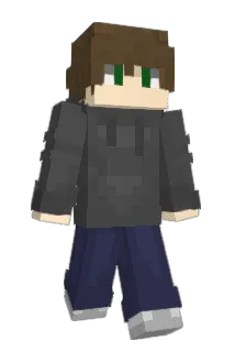 Robreplays Minecraft avatar full body