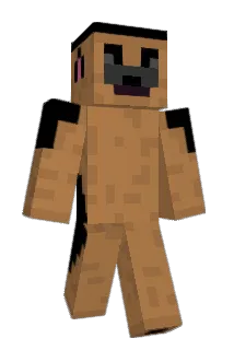 RobsHond Minecraft avatar full body