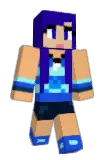 Robulite Minecraft avatar full body