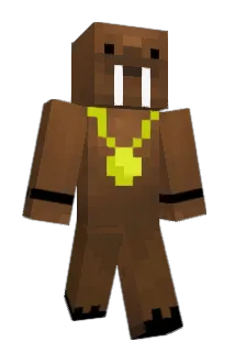 Rocaxy Minecraft avatar full body
