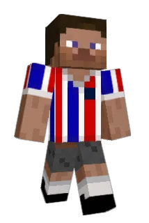 Roccolieri Minecraft avatar full body