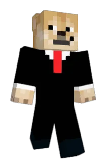 Rochelsea Minecraft avatar full body