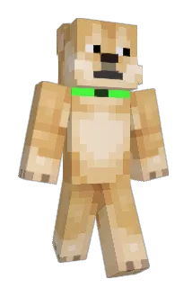RocketDoggy97 Minecraft avatar full body