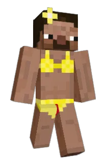 Rocketdog2589 Minecraft avatar full body
