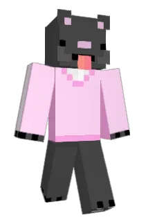 Rocketdogs Minecraft avatar full body