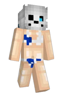Rockrider46 Minecraft avatar full body