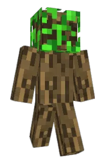 RodRuiz147 Minecraft avatar full body