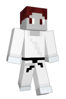 Roebee Minecraft avatar full body
