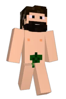 Roeby Minecraft avatar full body