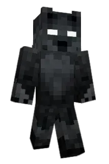 Roelcheck Minecraft avatar full body