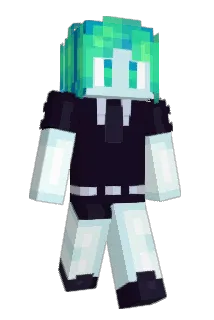 Roenyn Minecraft avatar full body