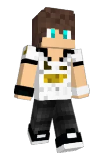 Roertooo Minecraft avatar full body