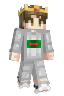 Rofflan Minecraft avatar full body