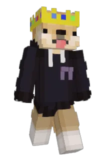 Rogue8559 Minecraft avatar full body