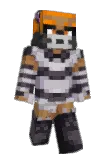 Rogueflyer08 Minecraft avatar full body