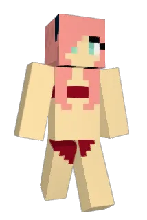 Rogueninja16 Minecraft avatar full body