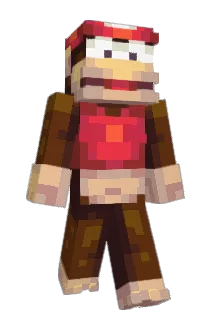 Rohrer Minecraft avatar full body