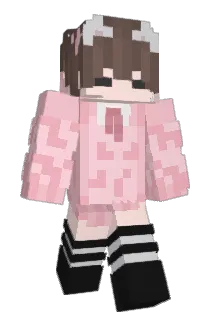 RoibZ Minecraft avatar full body