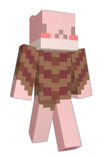 Roidgy Minecraft avatar full body
