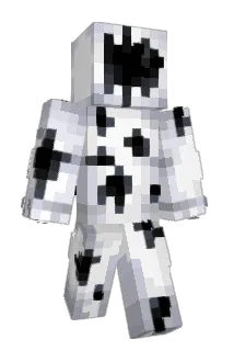 Rok1337 Minecraft avatar full body