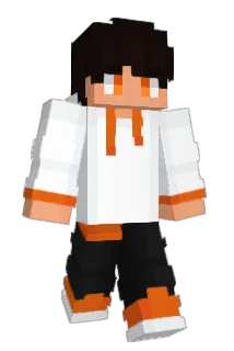 Roki220 Minecraft avatar full body