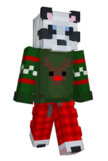 Ronamo Minecraft avatar full body