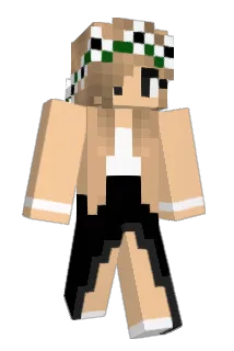 Ronchu8 Minecraft avatar full body