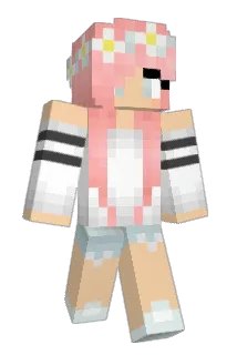 Ronec Minecraft avatar full body