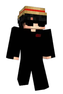 Ronesterr Minecraft avatar full body