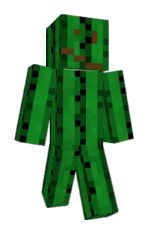 RonnerKazob Minecraft avatar full body