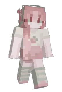 RonnieV29 Minecraft avatar full body