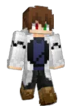RonseF Minecraft avatar full body