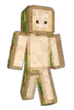 Roo892 Minecraft avatar full body