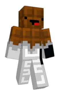 Roogaroo13 Minecraft avatar full body