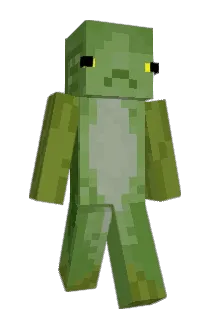 Rook429 Minecraft avatar full body