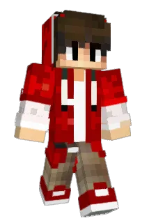 RookE45 Minecraft avatar full body