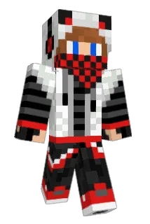 RookFox Minecraft avatar full body
