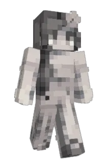 RookRobertson Minecraft avatar full body