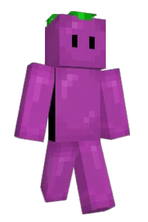 RoomFriend Minecraft avatar full body