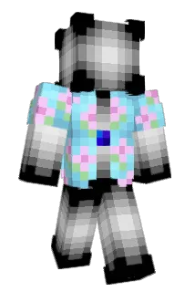 Roomba55 Minecraft avatar full body