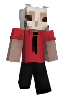 Rooney08 Minecraft avatar full body
