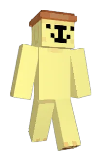 Ropsus00 Minecraft avatar full body