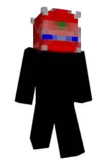 Rororr Minecraft avatar full body